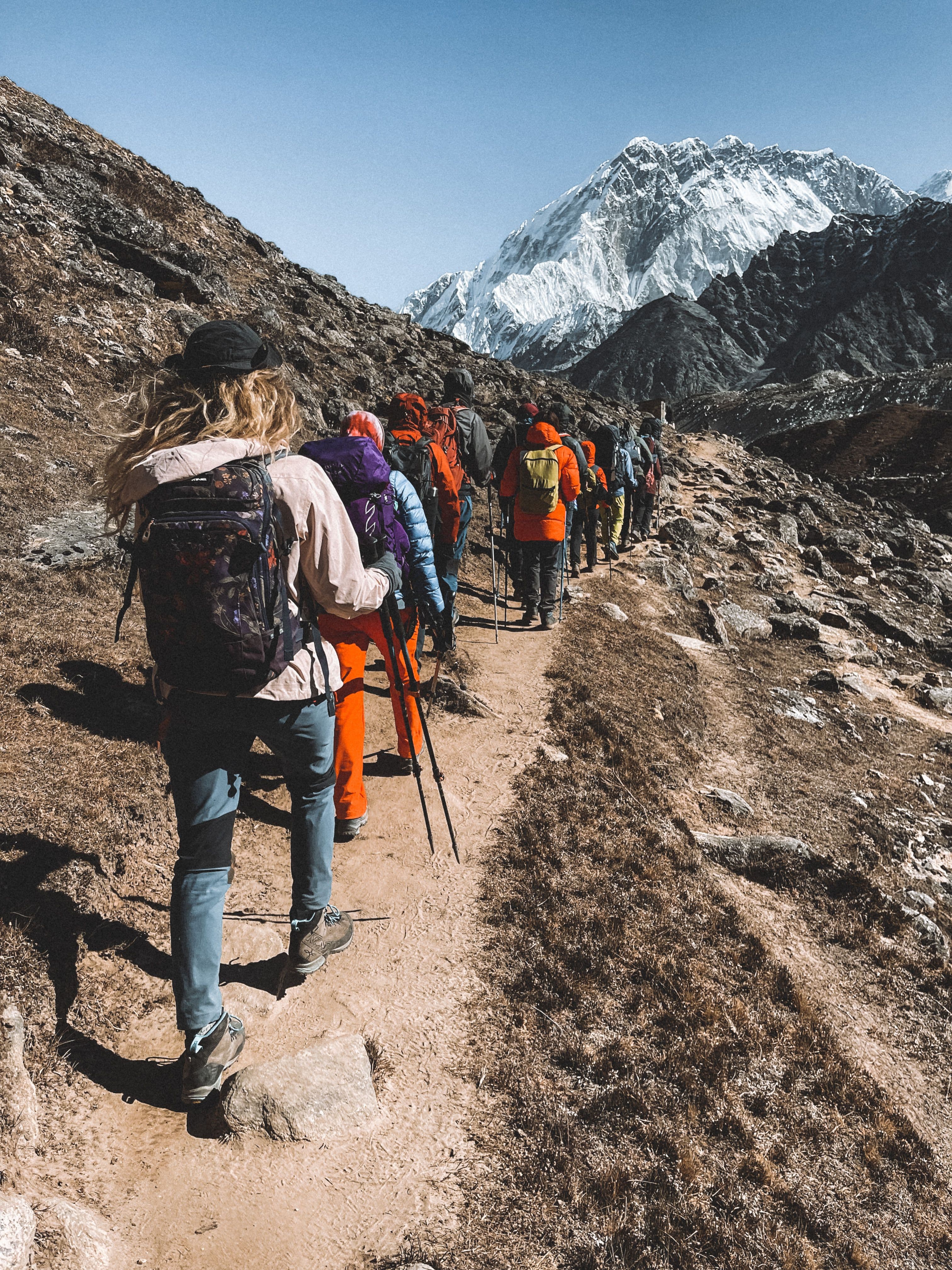 Guides and trekkers
